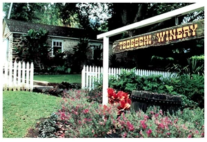 Haleakala Maui HI; TEDESCHI VINEYARDS Stone House Tasting Room~ 22 acre vineyard - Picture 1 of 2