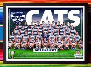 Framed 2022 GEELONG CATS AFL Premiers Poster - 45cm x 32cm x 3cm - Imagen 1 de 4