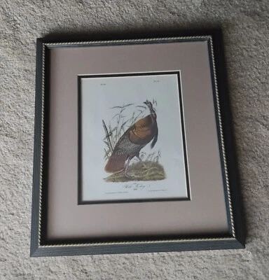 Audubon Octavo 1ª Ed. Pavo salvaje pl. Impresión enmarcada personalizada 287 Birds of America Foto 1 de 4