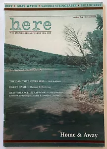 Here Magazine 2001 Issue Five Neil deMause 9-11 Stories Sandra Steingraber Zine - Foto 1 di 3