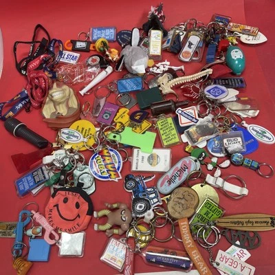Huge keychains lot Keyrings Fobs Backpack Charms Purse Handbag Pendants.  #9 - Image 1 of 4