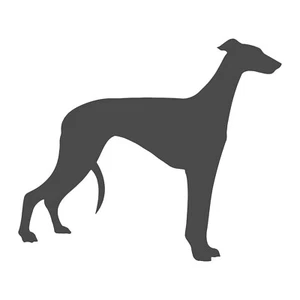 Calcomanía de vinilo galgo italiano ventana coche computadora portátil raza perro silueta pegatina - Imagen 1 de 12
