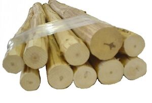 Medium Log Furniture Logs, Hand Peeled Pine, kiln dried, Use your tenon cutter! 