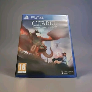 Citadel: Forged With Fire - PlayStation 4 - Foto 1 di 1