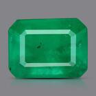 Igi Certified Colombian Emerald 0.77 Ct Natural Green O Ctagon Loose Gemstone