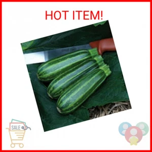 Bush Baby Squash Seeds (25 Seed Packet) (More Heirloom, Non GMO, Vegetable, Frui - Picture 1 of 1