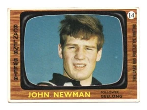 1967 Scanlens (14) John NEWMAN Geelong - Picture 1 of 2