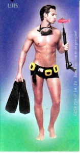 Sammelbildchen Gizeh Pin-Up Collectors Edition  Blättchen Nr. 14/24 Lutz - Bild 1 von 1