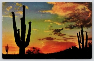 Postal cromada Phoenix Arizona Desert Saguaro Sunset Jerry McLain - Imagen 1 de 2