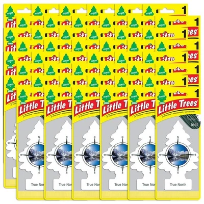 Little Trees True North Air Freshener  48 pc - Image 1 of 3