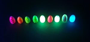 10 Bullet Pompano Floats 16.5mm Multi~glow Colors and Sand flea US Fast Ship !! - Picture 1 of 24