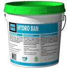 Laticrete Hydro Ban Mini Unit 1 Gallon Pail