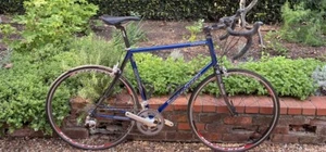 2006 60cm Steel Serotta Fierte - Picture 1 of 9
