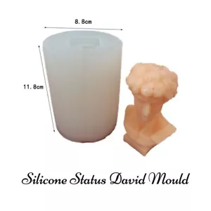 Silicone Statue David Mould Chocolate Ceramic Soap Candle Clay Resin Home Decor - Foto 1 di 1