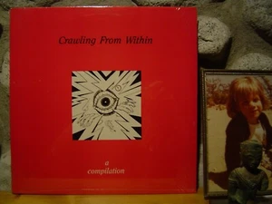 v/a CRAWLING FROM WITHIN LP/'87 Boston, MA/Rare Lemonheads!/Punk/Indie Rock/NEW! - Picture 1 of 2
