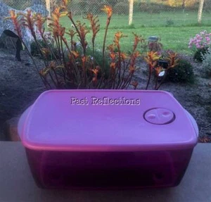 TUPPERWARE MICROWAVE ROCK N SERVE HEAT N EAT 3.5L RECTANGLE PURPLE PINK - Picture 1 of 3