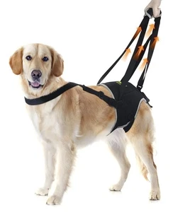 XL Dog Lift Harness, Dog Sling with Padded, Hind Leg Support - Picture 1 of 5