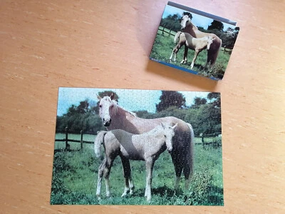 Pferde Puzzle - Bild 1 von 4