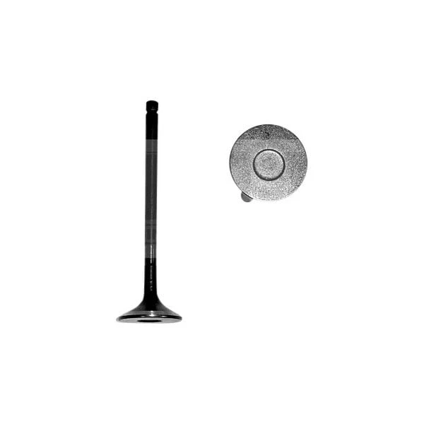 For Toyota Celica 2000-2005 DNJ Engine Components Exhaust Valve Foto 1 de 1