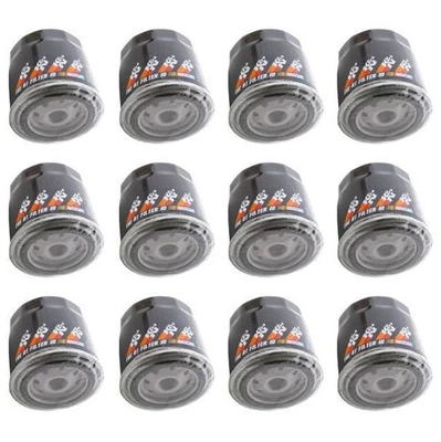 Filtros de aceite de motor K&N PS2004 Pro para 94-04 Land Rover 1993-02 Range Rover 12 un. Foto 1 de 4