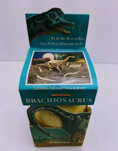 Tiny Perfect Dinosaurs, BRACHIOSAURUS w/ Book, Poster, Fossilized Egg & Model - Picture 1 of 12