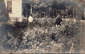 Couple Gardening RPPC Postcard - Picture 1 of 2