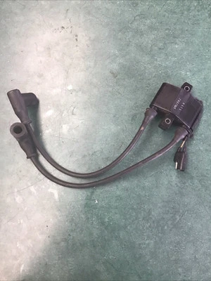 Bobina de encendido Polaris Touring 600 Foto 1 de 4