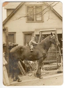 PHOTOGRAPH – VERY SMALL CHILD ATOP A VERY LARGE HORSE - Picture 1 of 2