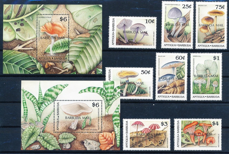 LS63420 Antigua & Barbuda fungi plants mushrooms fine lot MNH - Image 1 of 1