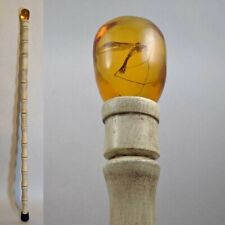 Jurassic Park Amber Cane Prop Replica - John Hammond Hardwood Dino DNA/Real Bug