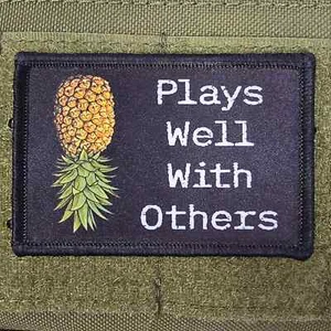 Swinger Patch Plays Well With Others Moral Military Army USA Hook & Loop 3x2 - Bild 1 von 8