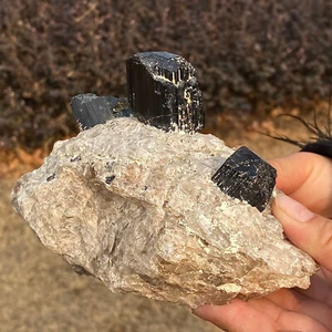2.81LB Natural Brazilian crystal raw ore coexists with black tourmaline, raw ore - Picture 1 of 13