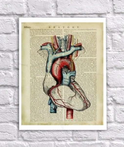 Anatomy Art Print Human Heart Unframed Vintage Anatomy Book Page Collage Art - Picture 1 of 2