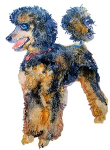 Original Phantom poodle dog art Signed Painting,dog lover Best gift 5x7" - Picture 1 of 6