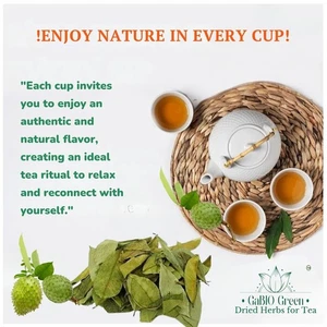 100 SUN Dried Soursop Graviola Leaves Herbal Tea Organic Hojas De Guanabana Leaf - Picture 1 of 8