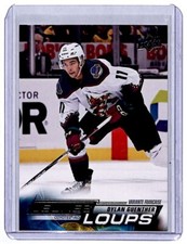 2022-23 Upper Deck Young Guns French Variation Dylan Guenther Rookie Arizona