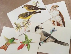 4 Bird postcards Readers Digest - Picture 1 of 2