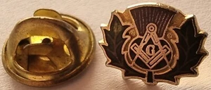 Masonic Scottish Thistle Compass & Square Lapel Pin Badge Scotland Constitution - Foto 1 di 2