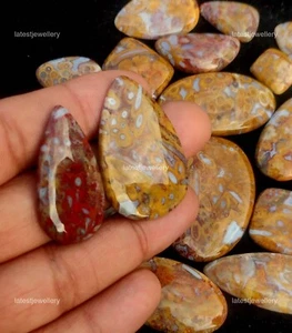 Plum Root Agate Handcrafted Jewelry Making Cabochon Natural To 15 MM to 35 MM - Picture 1 of 10