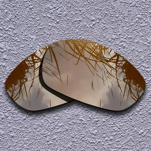 Lentes de repuesto marrón tierra de EE. UU. para chaqueta recta 2007 polarizadas - Imagen 1 de 5