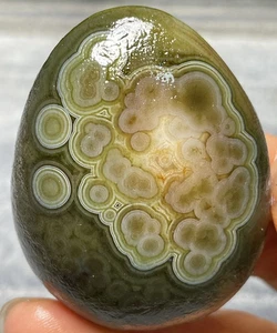 Spécimen de collection pierre d'agate brute oeil gobi naturel Mongolie - Photo 1/3