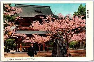 Postal de Japón de flores de cerezo en el templo Kencho-Ji Kamakura - Imagen 1 de 2