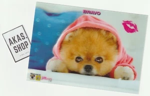 Sweet Puppy 3D BRAVO Insert out of German Youth Magazine 2016 ULTRA RARE - Bild 1 von 1