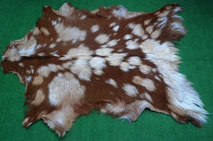 Nuovo tappeto in pelle di capra pelo su zona misura 38"x28" pelle animale pelle di capra G-129 - Foto 1 di 3