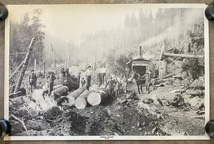 Vintage 1976 Bicentennial Print Northwest Logging Poster Kunst Foto 24”x36” - Bild 1 von 10