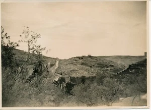 JERUSALEM c. 1925 - Vue de la Ville Mont - P 2531 - Imagen 1 de 1