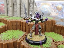 Mage Knight Metals Seething Knight Drow Painted