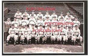 1942 Boston Red Sox Matted 8 x 10" Team Print Ted Williams, Bobby Doerr, Roster - Picture 1 of 2