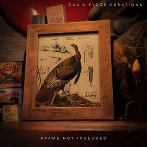 Vintage Türkei Schiefer Ruf Patent Kunstdruck 8x10 Jagd Fischer Hütte Wanddeko - Bild 1 von 7