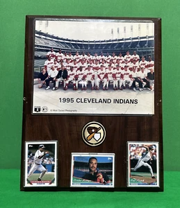 Wandrelief Cleveland Indians 1995 American League Champions - Bild 1 von 9